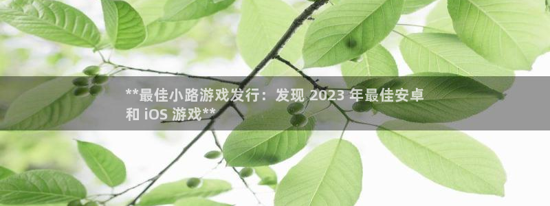 新航娱乐公司扣费流程详解视频大全：**最佳小路游戏发行：发现 2023 年最佳安卓
和 iOS 游戏**