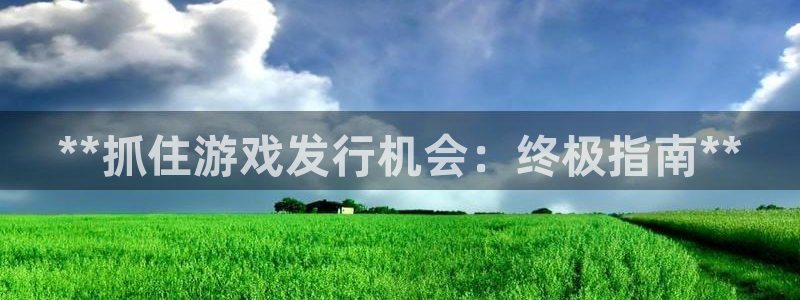 新航娱乐app手机版官网：**抓住游戏发行机会：终极指南**